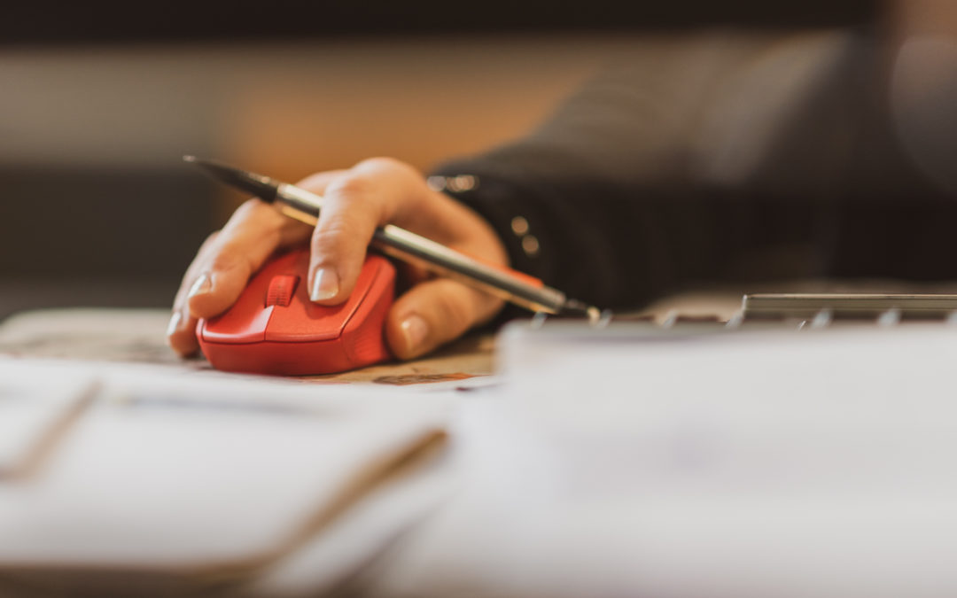 Fiche signalétique d’entreprise